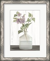 Framed Lilacs IV