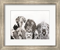 Framed Lots of Dogs