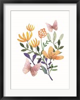 Framed Butterflies and Flowers