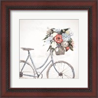 Framed Bicycle Reflections