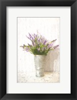 Framed Lavender on White