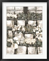 Framed Rows of Flowers