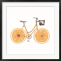 Framed Orange Bike