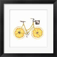 Framed Lemon Bike