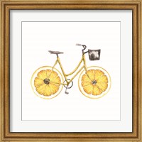 Framed Lemon Bike