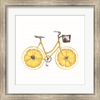 Framed Lemon Bike