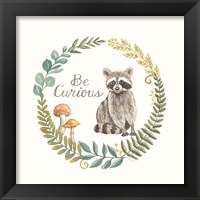 Framed 'Be Curious Raccoon' border=
