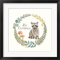 Framed 'Be Curious Raccoon' border=