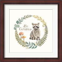 Framed Be Curious Raccoon