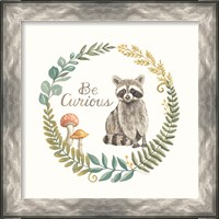 Framed 'Be Curious Raccoon' border=