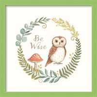 Framed 'Be Wise Owl' border=