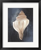 Conch Shell Blues I Framed Print
