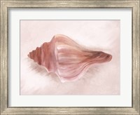 Framed Conch Shell Blush I