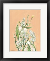 Framed Spring Flora