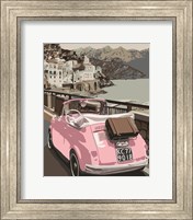 Framed Pink Bug in Europe