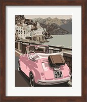 Framed Pink Bug in Europe