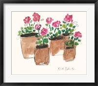 Framed Geranium Sunday