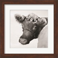 Framed Brown Cow with Flowers