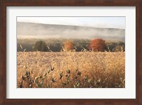 Framed Autumn Shades