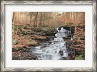 Framed Waterfall Steps at Pigeon Run