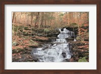 Framed Waterfall Steps at Pigeon Run