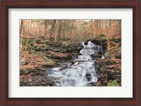 Framed Waterfall Steps at Pigeon Run