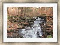 Framed Waterfall Steps at Pigeon Run