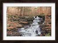 Framed Waterfall Steps at Pigeon Run