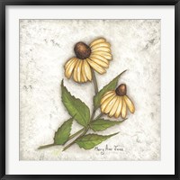 Framed Yellow Coneflowers