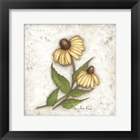 Yellow Coneflowers Framed Print