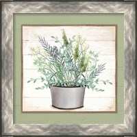 Framed 'Pot of Herbs II' border=