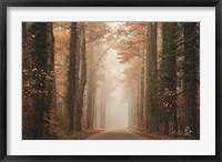 Framed Foggy Autumn Road