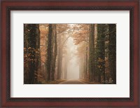 Framed Foggy Autumn Road