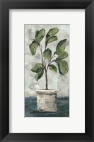 Framed Fiddle Leaf Fig