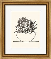 Framed Succulent Basket I