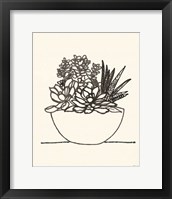 Framed Succulent Basket I