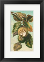 Framed Tree Branch with Fruit II