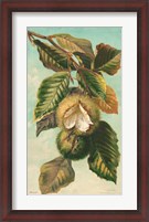 Framed Tree Branch with Fruit II