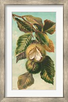 Framed Tree Branch with Fruit II