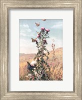 Framed Meadow Butterflies