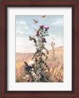 Framed Meadow Butterflies