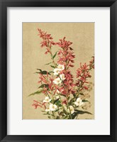 Meadow Flowers 2 Framed Print