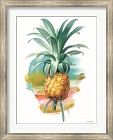 Framed Pineapple I