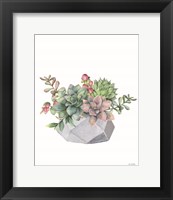 Framed Watercolor Succulents