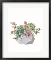 Framed Watercolor Succulents