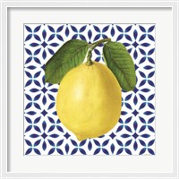 Framed Mediterranean Lemon