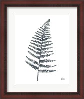 Framed Fern I