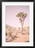 Framed Joshua Tree III Blush