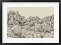 Framed Joshua Tree V Neutral