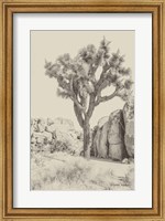 Framed Joshua Tree IV Neutral